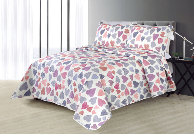 Adult Printed Microfiber Light Weight Ultrasonic Quilt set 